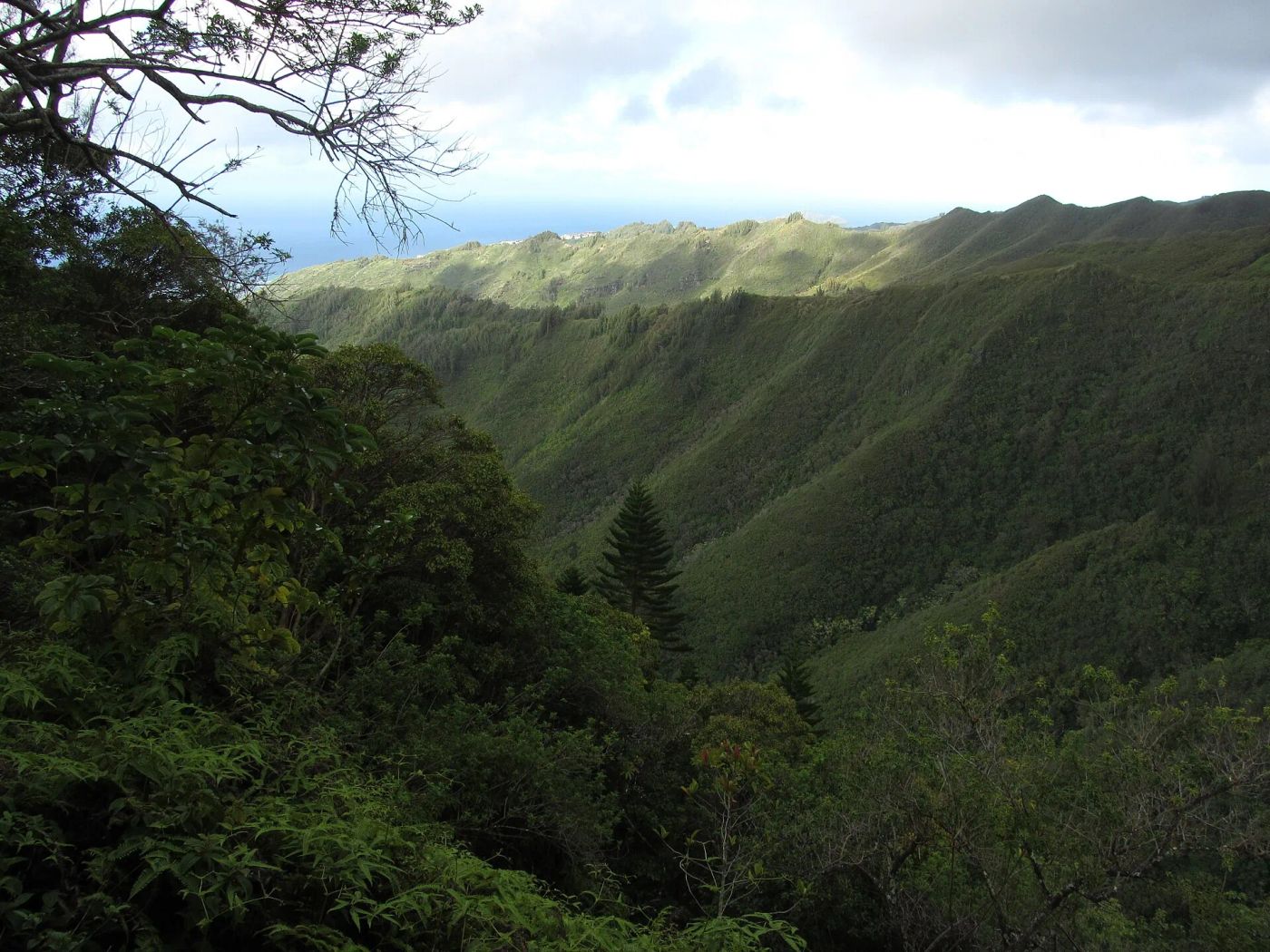 Kuliʻouʻou Ridge Trail