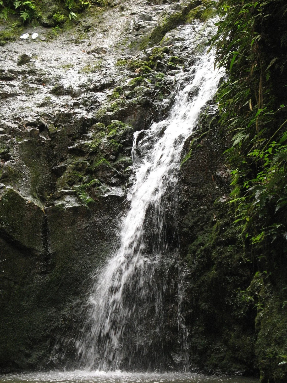 falls landscape